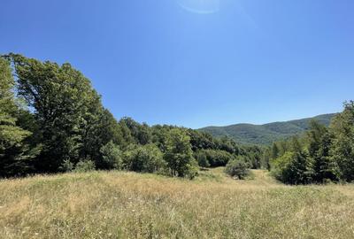 Teren extravilan de 45809 mp, în Mădrigești - 16