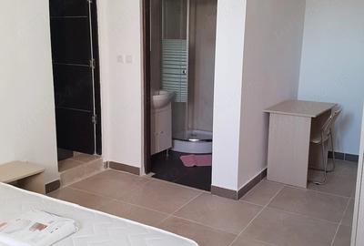 Apartament cu 6 camere decomandat în Central - 19