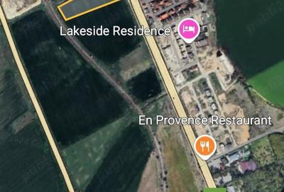 Teren de 5000 mp, în Sud