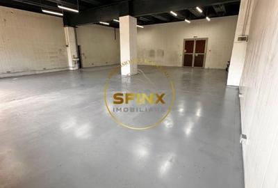 Spațiu industrial, de 180 mp, în Theodor Pallady - 4