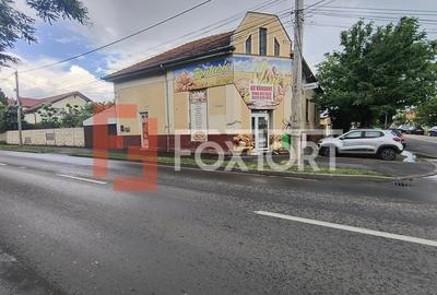 Spatiu comercial + casa individuala 3 camere, garaj dublu, Freidorf - 28