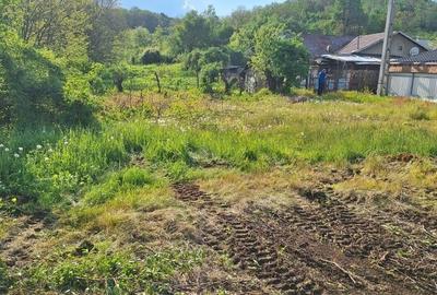 Teren Construcții intravilan de 1311 mp, în Nord-Est - 1