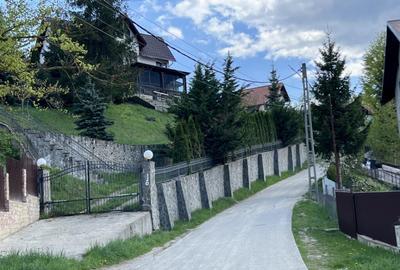 Teren intravilan Poiana Tapului. Tripla deschidere. Vedere l - 6