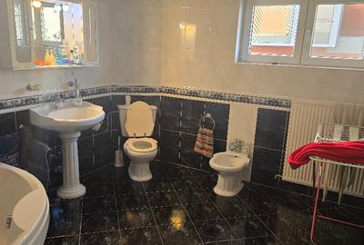 Vand proprietate in Deva. zona Ceangai, compusa din 2 case de locuit, - 11