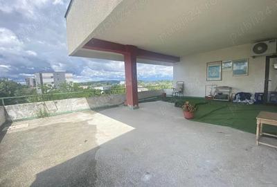 Oferta vanzare penthouse, ap 2 camere, cartier Negru Voda, 155 mp, 149000 euro - 3
