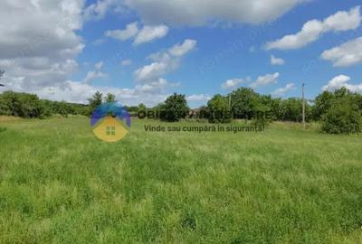 Teren intravilan de vanzare Unghi- jud. Neamt - 17