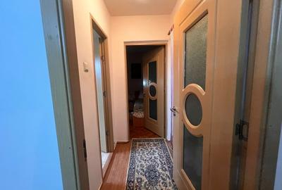 Apartament cu 2 camere semidecomandat, mobilat în Brazda lui Novac - 10