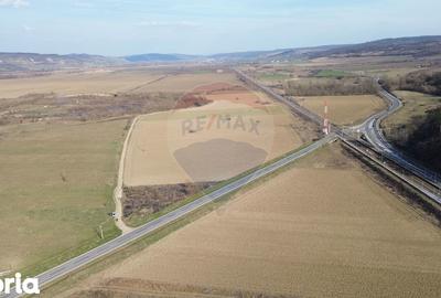 Teren de 19319 mp, în Laslea - 2