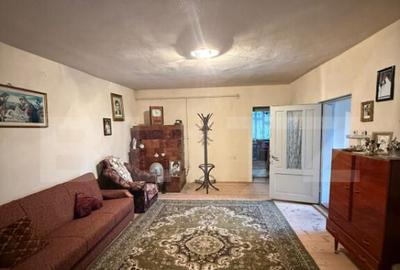 Proprietate completa in Sacuieni- Doua Case + Anexe - 3