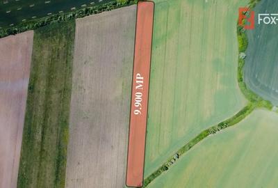 COMISION 0% Oportunitate de investitie in Sacalaz: Teren Extravilan de 9.900MP COMISION 0% Oportunitate de investitie in Sacalaz: Teren Extravilan de 9.900MP - 3