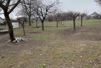Teren de 1800 mp, în Coșoveni - 1