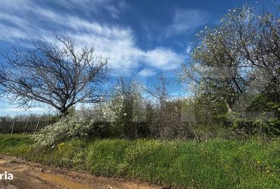 Spațiu comercial, în Coșoveni - 3