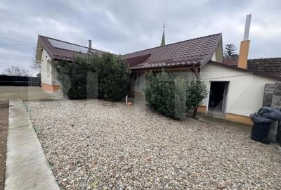 Casă cu 3 camere cu Teren 2434 Mp în Bercu - 13