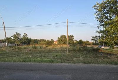 Teren de 1600 mp, în Sacoșu Turcesc - 8