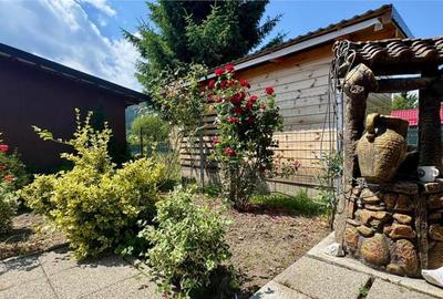 Refugiu pretios:jacuzzi, lemn masiv,2.000 mp teren,4 dormito - 9