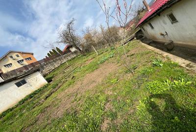 Casă cu 3 camere în Săsar - 8