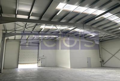 Spațiu industrial, de 580 mp, în Chiajna - 6