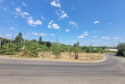 Teren Construcții intravilan de 710 mp, în Răgman - 1