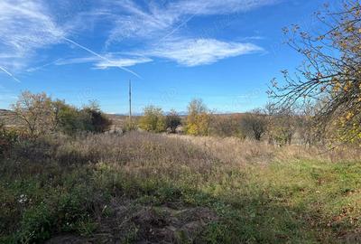 Vand casa in Berbesti. - 5