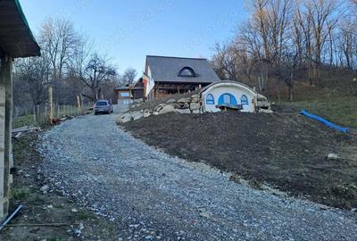 Casă cu 6 camere cu Teren 2377 Mp în Ghioșești - 1