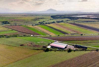 FILM! 18.000 mp,extravilan,agricol constructii, recomandat:f - 9