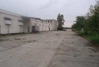 Spațiu comercial, de 10,000 mp, în Drăguțești - 2