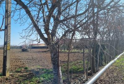 Teren intravilan de vanzare – Padurea Noroieni - 2