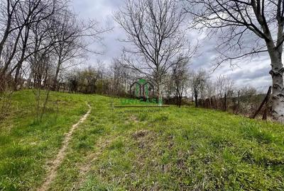 Teren 1260 mp/Pausesti Maglasi/Intravilan - 5