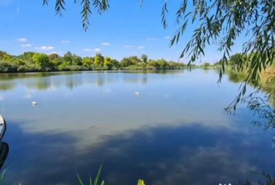 Casă cu 5 camere cu Teren 794 Mp în Livedea - 16