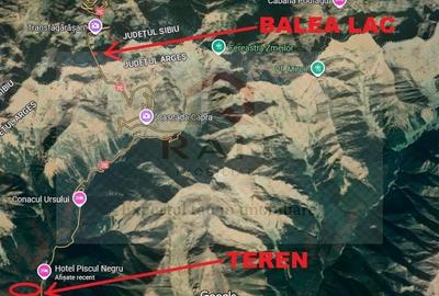 Teren extravilan de 500 mp, în Arefu - 6