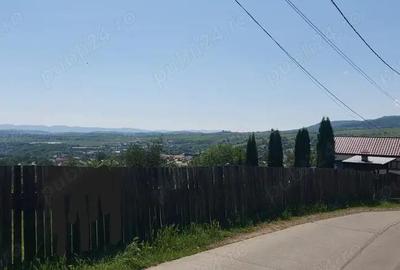 Moinesti - Teren Intravilan - 4