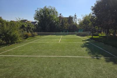 Vindem vila cu piscina si teren tenis, Branesti - Pasarea, renovata lux, - 3