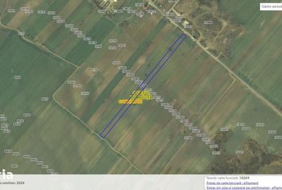 Teren de 12500 mp, în Corbii Mari - 2