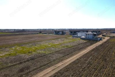 Teren de 319 mp, în Berceni - 5