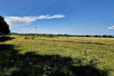 Comision 0%, intravilan 1000 mp, Sambata de Sus, Brasov - 8