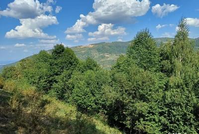 Teren de 3000 mp, în Măguri - 7