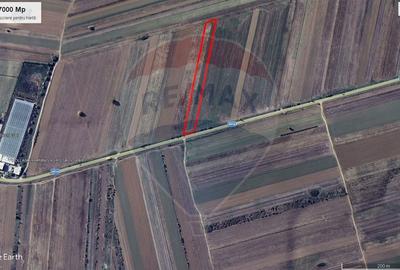 Teren Construcții intravilan de 7000 mp, în Stoenești (Florești-Stoenești) - 3
