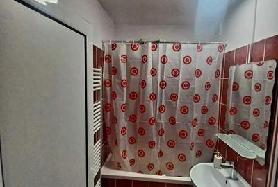 Apartament cu 2 camere semidecomandat în Craiovei - 3
