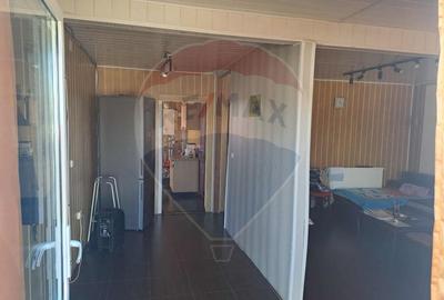 Casa / Vila cu 5 camere de vanzare - 5