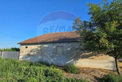 Casa de vanzare in Graniceri aproape de Arad - 3