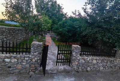 Casa tip parter zona Dealul Viei - 11