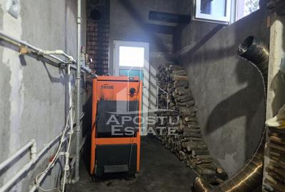 Vila individuala, in Sofronea, jud. Arad - 25