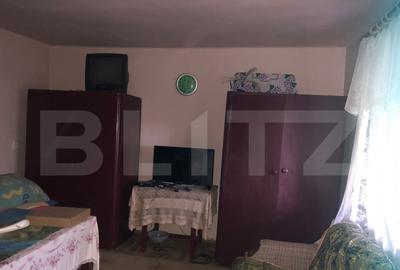 Casa batraneasca, 1500 mp teren, comuna Pomi - 11