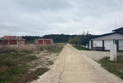 Oportunitate Teren Case Individuale sau Duplexuri Padurea Cernica 300m - 4