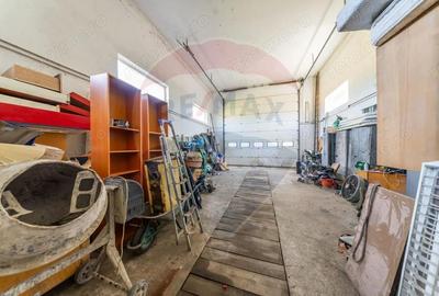 Spa?iu industrial cu potential de vanzare in Paulis,Arad - 4