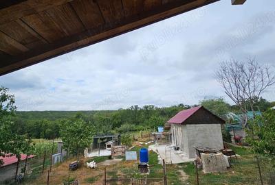 Casă cu 3 camere cu Teren 1500 Mp în Drislea - 9