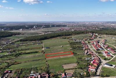 RECO Teren Intravilan Betfia - 6
