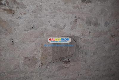 Casă cu 6 camere cu Teren 267 Mp în Ultracentral - 4