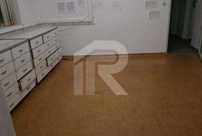 Casă individuală cu 9 camere cu Canalizare în Iancului - 10