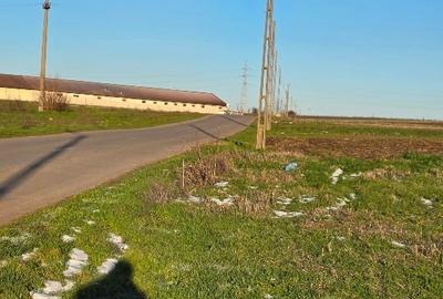 Teren agricol extravilan de 3190 mp, în Central - 1